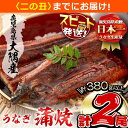 【ふるさと納税】楠田の極うなぎ蒲焼き190g以上×2尾(計380g以上) 山椒付たれ 鰻 ウナギ 蒲焼 うな重 ひつまぶし 鹿児島 冷凍 おかず お祝い【7/21までの入金で 二の丑 (7/31)までにお届け】【楠田淡水】a7-021