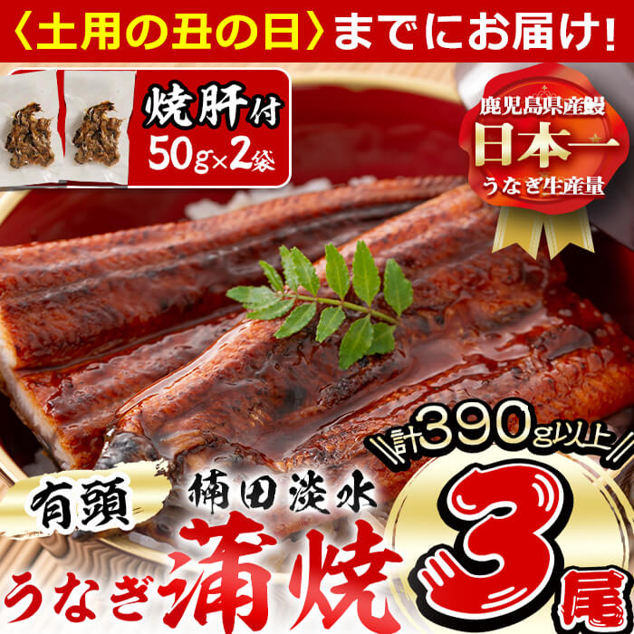 [7/7までの入金で丑の日までにお届け]楠田の極うなぎ蒲焼き130g以上×3尾(計390g以上) 焼肝2袋付き!箸で切れるほどふっくら柔らか!こだわり抜いて育てたウナギは脂の「甘み」が特徴![楠田淡水]b0-040