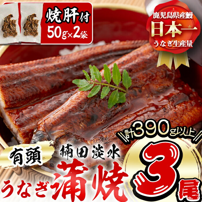 楠田の極うなぎ蒲焼き130g以上×3尾(計390g以上) 焼肝2袋付き!箸で切れるほどふっくら柔らか!こだわり抜いて育てたウナギは脂の「甘み」が特徴![楠田淡水]b0-040