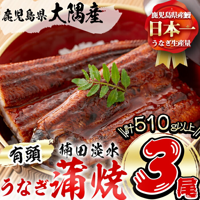 【ふるさと納税】楠田の極うなぎ蒲焼き170g以上×3尾(計510g以上)箸で切れるほどふっくら柔らか！こだわり抜いて育てたウナギは脂の「甘み」が特徴！鰻のかば焼きたれ・山椒付き！【楠田淡水】b2-010