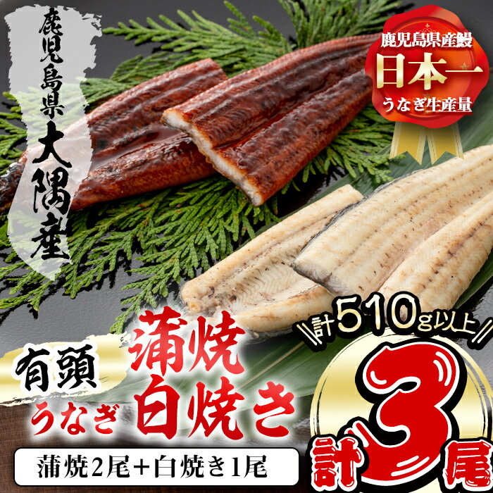 楠田の極うなぎ蒲焼2尾・白焼き1尾170g以上×3尾(計510g以上)箸で切れるほどふっくら柔らか!脂の「甘み」が特徴!鰻のかば焼きと白焼の食べ比べセット♪[楠田淡水]b2-011