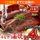 【ふるさと納税】楠田の極うなぎ蒲焼130g以上×4尾(計520g以上) 山椒付たれ 鰻 ウナギ 蒲焼 うな重 ひつまぶし 鹿児島 冷凍 おかず お祝い【7/21までの入金で 二の丑 (7/31)までにお届け】【楠田淡水】b3-013