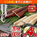 【ふるさと納税】楠田の極うなぎ蒲焼130g以上×2尾・白焼130g以上×2尾(計520g以上) 山椒付たれ 鰻 ウナギ 蒲焼 白焼き うな重 ひつまぶし 鹿児島 冷凍 おかず お祝い 食べ比べb3-014【7/21までの入金で 二の丑 (7/31)までにお届け】【楠田淡水】b3-014