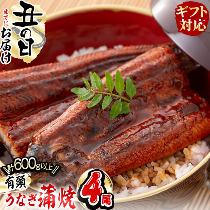 【ふるさと納税】【7/7までの入金で