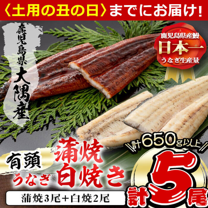 楠田の極うなぎ蒲焼3尾・白焼き2尾130g以上×5尾(計650g以上)箸で切れるほどふっくら柔らか！脂の「甘み」が特徴！鰻のかば焼きと白焼の食べ比べセット♪c0-093