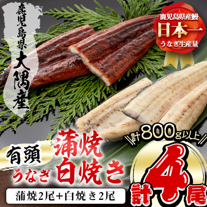 【ふるさと納税】楠田の極うなぎ蒲焼2尾・白焼き2尾200g以上×4尾(計800g以上)箸で切れるほどふっくら...