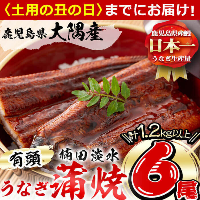 30位! 口コミ数「5件」評価「4.8」【丑の日までにお届け！7月10日入金まで】楠田の極うなぎ蒲焼き200g以上×6尾(計1.2kg以上)箸で切れるほどふっくら柔らか！こだわり抜･･･ 