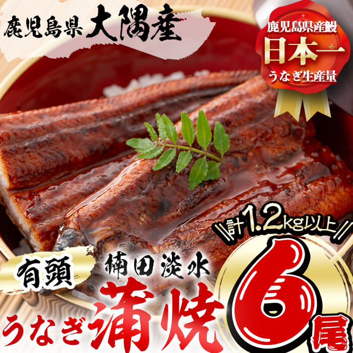 7位! 口コミ数「5件」評価「4.8」楠田の極うなぎ蒲焼き200g以上×6尾(計1.2kg以上)箸で切れるほどふっくら柔らか！こだわり抜いて育てたウナギは脂の「甘み」が特徴！鰻の･･･ 