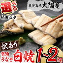 【ふるさと納税】【内容量が選べる!】【訳あり】鹿児島県大隅産!楠田の極うなぎ白焼き 有頭(1kg~2kg・約5尾~14尾)箸で切れるほどふっくら柔らか!国産 鹿児島県産 鰻 不揃い 大容量 真空 冷凍【楠田淡水】c6-077