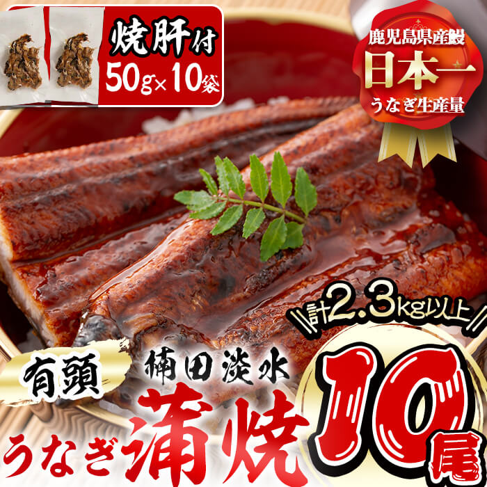 楠田の極うなぎ蒲焼き230g以上×10尾(計2.3kg以上)うなぎ焼肝10袋付き!箸で切れるほどふっくら柔らか!こだわり抜いて育てたウナギは脂の「甘み」が特徴!鰻のかば焼きたれ・山椒付き![楠田淡水]wa24-004