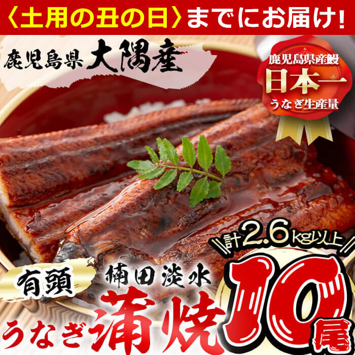 [7/7までの入金で丑の日までにお届け]楠田の極うなぎ蒲焼き260g以上×10尾(計2.6kg以上)箸で切れるほどふっくら柔らか!こだわり抜いて育てたウナギは脂の「甘み」が特徴!鰻のかば焼きたれ・山椒付き![楠田淡水]wa24-003