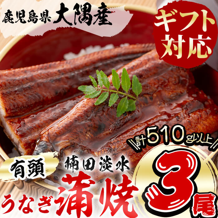 [ギフト対応][父の日ギフト]楠田の極うなぎ蒲焼き170g以上×3尾(計510g以上) うなぎ 鰻 ウナギ 3尾 国産 九州産 鹿児島 志布志 蒲焼き かばやき 冷凍 うな重 ひつまぶし タレ 山椒 [楠田淡水]b2-018