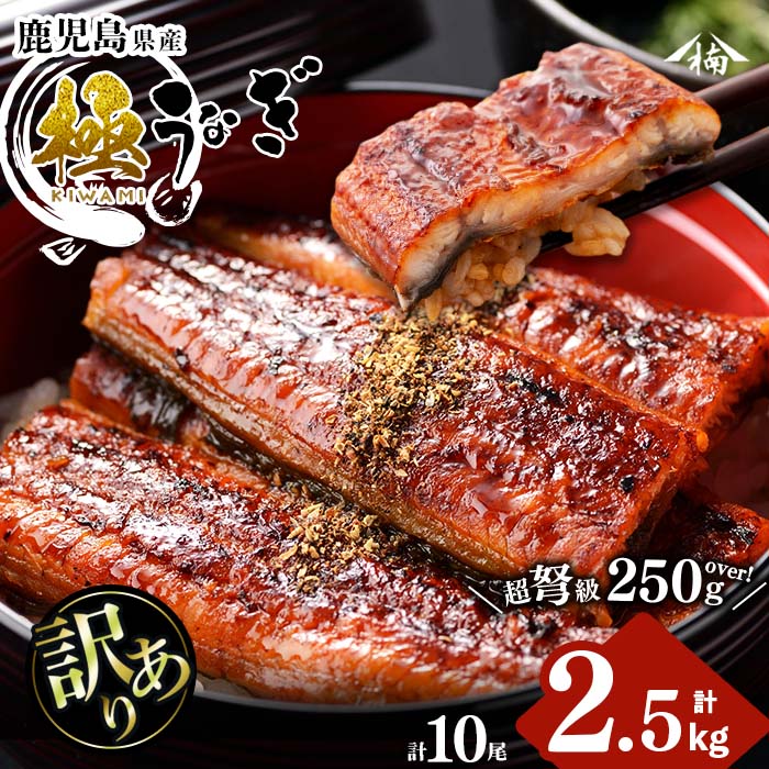 [訳あり]楠田の極うなぎ蒲焼き10尾(計2.5kg以上・1尾あたり250g〜289g) 山椒付たれ 鰻 ウナギ 蒲焼 うな重 ひつまぶし 鹿児島 冷凍 おかず お祝い 訳あり[楠田淡水]j7-002