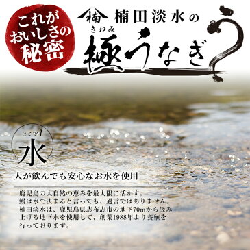 【ふるさと納税】鹿児島県大隅産！楠田の極うなぎ蒲焼き・白焼き 6尾(有頭190g以上×各3尾ずつ)こだわり真空パックで肉厚の鰻をお届け！蒲焼きのタレ付き【楠田淡水】e0-004