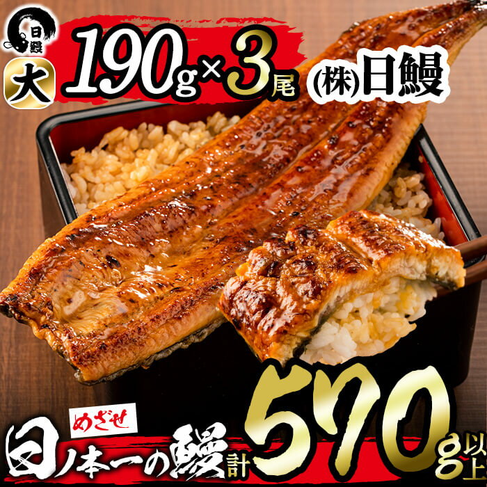 【ふるさと納税】うなぎ生産量日本一の鹿児島県産！日ノ本一の鰻の蒲焼き＜大＞3尾セット(計570g以上)...