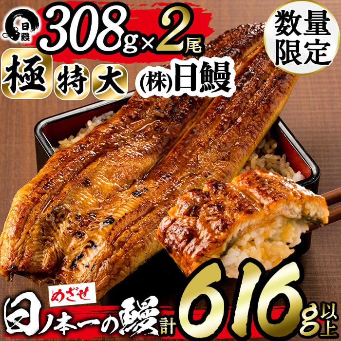 [数量限定]うなぎ生産量日本一の鹿児島県産!日ノ本一の鰻の蒲焼き[極特大]2尾セット(計616g以上)たれ、山椒付き!「酸素たっぷり贅沢水」で育ったおいしいウナギ[日鰻]b7-010