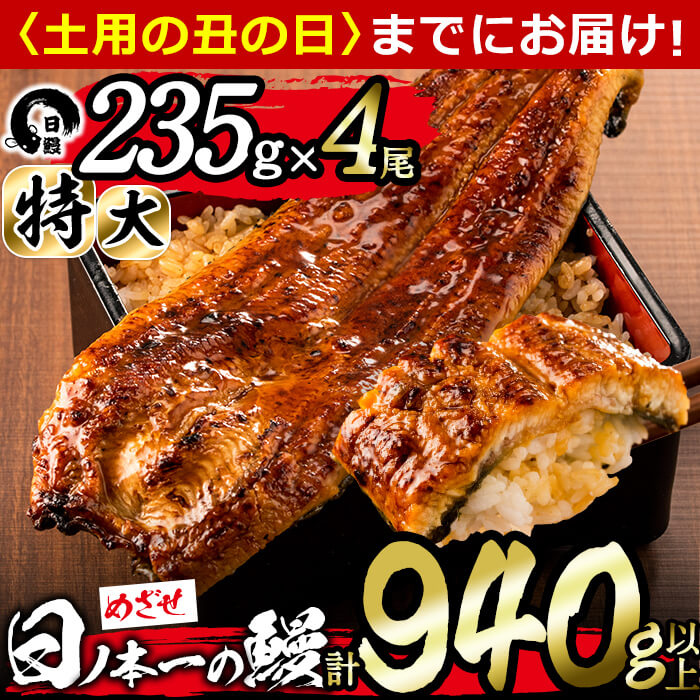 【ふるさと納税】【丑の日までにお届け！6月30日入金まで】うなぎ生産量日本一の鹿児島県産！日ノ本一...