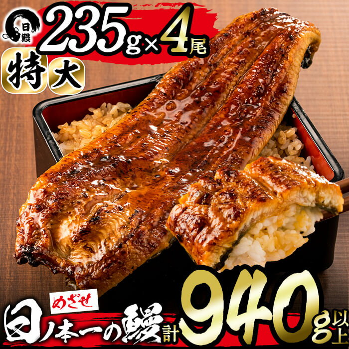 【ふるさと納税】うなぎ生産量日本一の鹿児島県産！日ノ本一の鰻の蒲焼き＜特大＞4尾セット(計940g以上)たれ、山椒付き！酸素たっぷり贅沢水で育ったおいしいウナギ【日鰻】c6-053