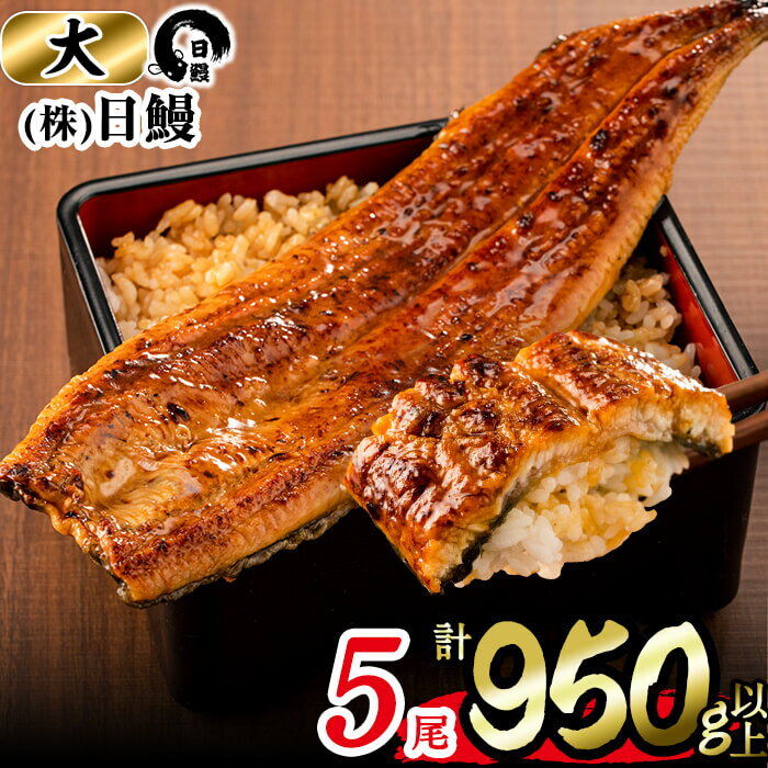 17位! 口コミ数「25件」評価「4.8」うなぎ生産量日本一の鹿児島県産！日ノ本一の鰻の蒲焼き＜大＞5尾セット(計950g以上)たれ、山椒付き！「酸素たっぷり贅沢水」で育ったおいしい･･･ 