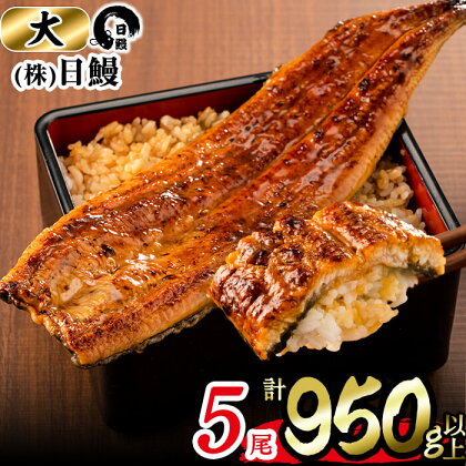 うなぎ生産量日本一の鹿児島県産！日ノ本一の鰻の蒲焼き＜大＞5尾セット(計950g以上)たれ、山椒付き！「酸素たっぷり贅沢水」で育ったおいしいウナギ【日鰻】d2-004