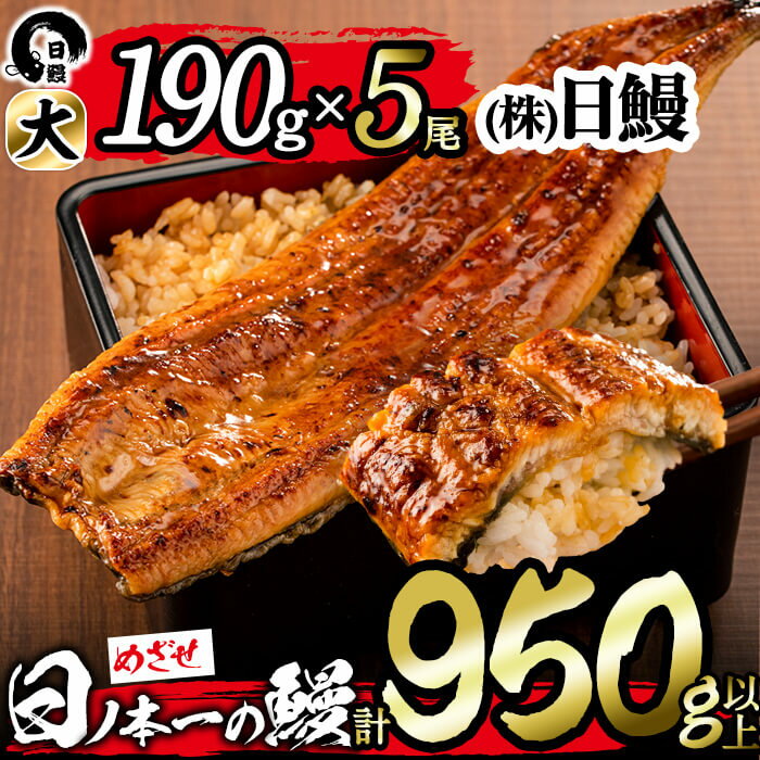 【ふるさと納税】うなぎ生産量日本一の鹿児島県産！日ノ本一の鰻の蒲焼き＜大＞5尾セット(計950g以上)たれ、山椒付き！「酸素たっぷり贅沢水」で育ったおいしいウナギ【日鰻】c8-018のサムネイル