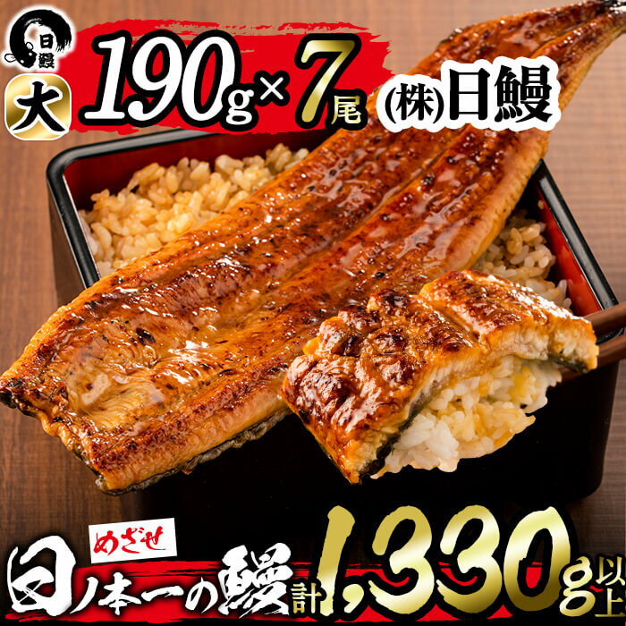 13位! 口コミ数「1件」評価「5」うなぎ生産量日本一の鹿児島県産！日ノ本一の鰻の蒲焼き＜大＞7尾セット(計1,330g以上)たれ、山椒付き！「酸素たっぷり贅沢水」で育ったおい･･･ 