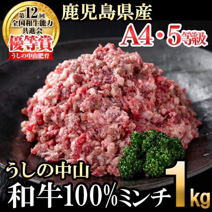 うしの中山 和牛100%ミンチ1kg(500g×2袋) 黒毛和牛 和牛 肉 牛肉 国産 九州産 鹿児島県産 ミンチ ひき肉 ハンバーグ 日本一[nixy CHUZAN]