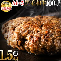 【ふるさと納税】鹿児島県産 黒毛和牛100%使用極上ハンバーグ(計1.5kg/150g×10個) 黒毛和牛 和牛 ハンバーグ 肉 牛肉 国産 九州産 鹿児島県産 ミンチ 100% 小分け A4 A5 日本一 ランキング 人気【nixy CHUZAN】a2-023