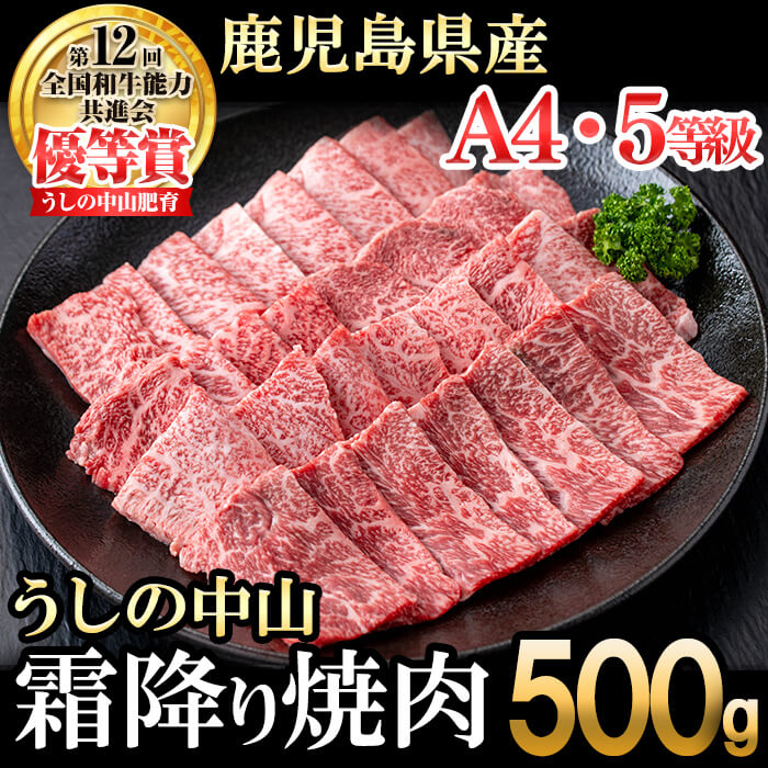 うしの中山 霜降り焼肉用500g×1P 黒毛和牛 和牛 肉 牛肉 国産 九州産 鹿児島県産 焼肉 日本一[nixy CHUZAN]