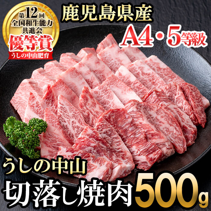 うしの中山 切り落とし焼肉用500g×1P 黒毛和牛 和牛 肉 牛肉 国産 九州産 鹿児島県産 焼肉 日本一 [nixy CHUZAN]
