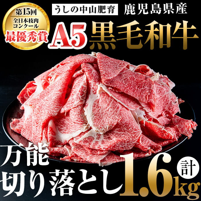 鹿児島県産 黒毛和牛万能切り落とし(計1.6kg/400g×4P) 黒毛和牛 和牛 切り落とし 肉 牛肉 国産 九州産 鹿児島県産 すき焼き しゃぶしゃぶ 小分け A5 日本一 ランキング 人気[nixy CHUZAN]b5-138