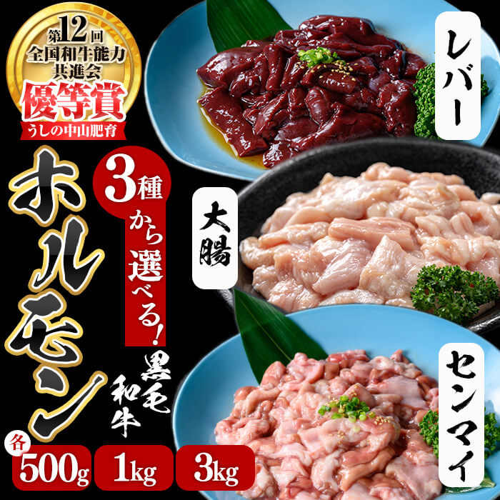 [種類・内容量を選べる!]うしの中山 ホルモン(大腸)・赤センマイ(ギアラ)・レバー[計500g〜3kg(各500g×1〜6P)]黒毛和牛 和牛 肉 ホルモン 国産 九州産 鹿児島県産 焼肉 煮込み 鍋料理 もつ鍋 日本一[nixy CHUZAN]