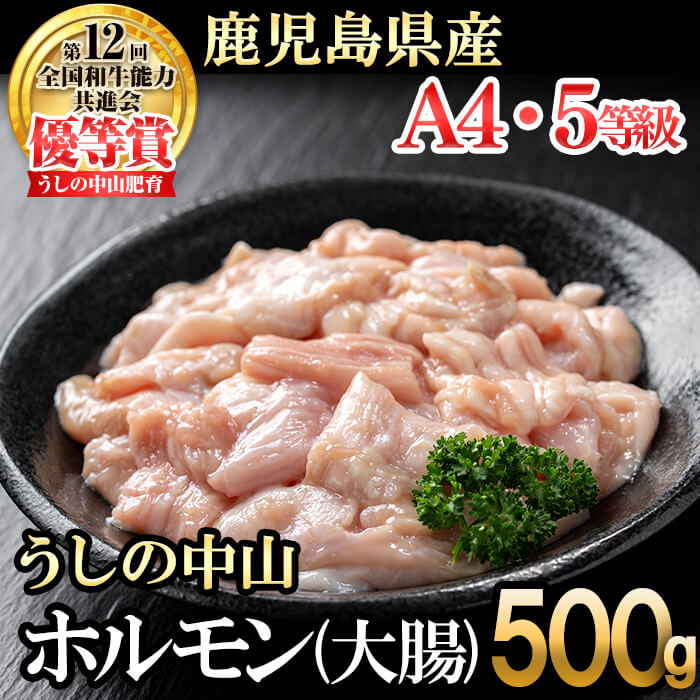 うしの中山 ホルモン(大腸)500g(500g×1袋) 黒毛和牛 和牛 肉 牛肉 国産 九州産 鹿児島県産 ホルモン 焼肉 日本一[nixy CHUZAN]