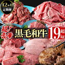 【ふるさと納税】【定期便全12回】超豪華!黒毛和牛堪能贅沢定期便!(総重量19kg超) 鹿児島県産 黒毛和牛 和牛 肉 牛肉 国産 九州産 鹿児島県産 焼肉 B...