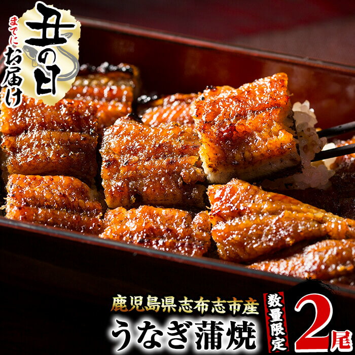 【ふるさと納税】【7/7までの入金で