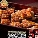 【ふるさと納税】鰻生産量日本一の鹿児島県産!うなぎの大楠<大>5尾セット計750g(150g×5尾) うなぎ 鰻 ウナギ 国産 九州産 蒲焼き かばやき 冷凍 うな重 ひつまぶし タレ 山椒 真空パック ランキング 人気【大楠鰻】c4-009