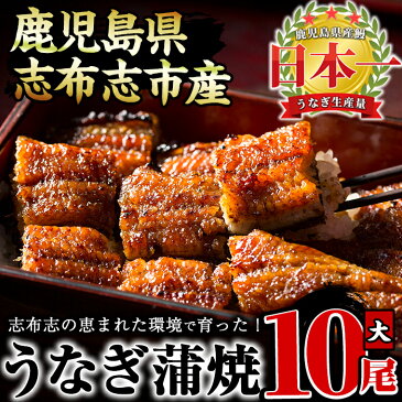 【ふるさと納税】鰻生産量日本一の鹿児島県産！うなぎの大楠＜大＞10尾セット計1.5kg(150g×10)国産ウナギの蒲焼きを冷凍真空パック・たれ付きでお届け！【大楠鰻】e0-017