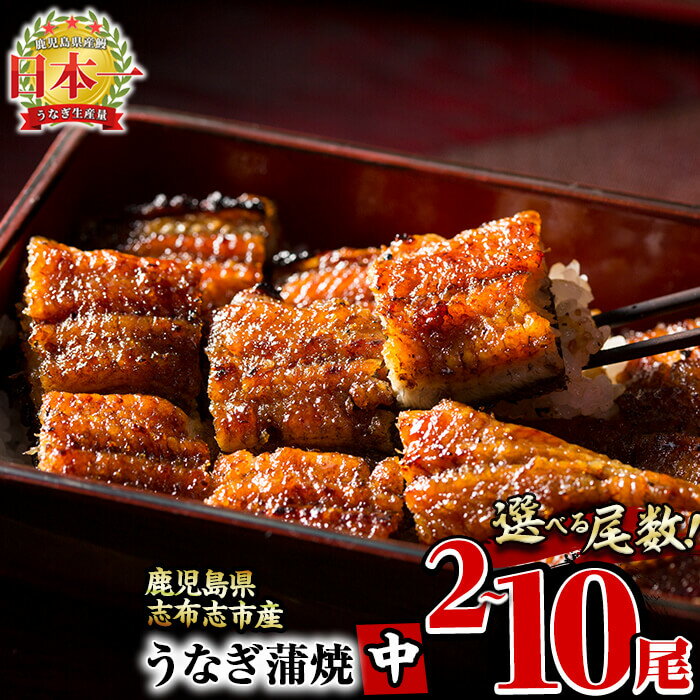【ふるさと納税】鹿児島県産 うなぎの大楠＜中＞4尾セット(計520g/130g×4) うなぎ 鰻 ウナギ 4尾 国産 九州産 蒲焼き かばやき 冷凍 うな重 ひつまぶし タレ 山椒 真空パック ランキング 人気【大楠鰻】b3-001のサムネイル