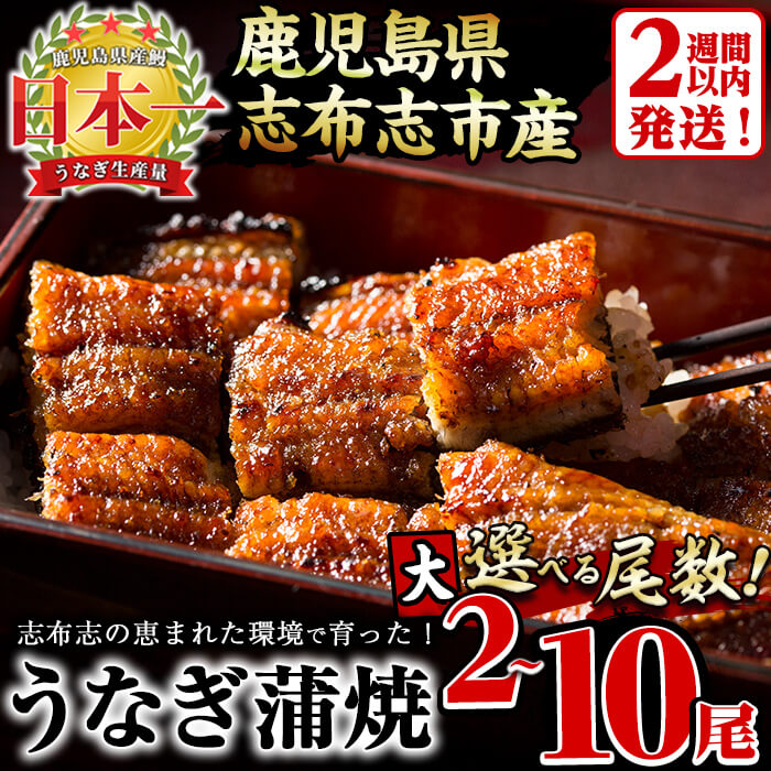 【ふるさと納税】鹿児島県産 うなぎの大楠＜大＞2尾セット(計300g/150g×2) うなぎ 鰻 ウナギ 2尾 国産 九州産 蒲焼き かばやき 冷凍 うな重 ひつまぶし タレ 山椒 真空パック ランキング 人気【大楠鰻】a5-244のサムネイル