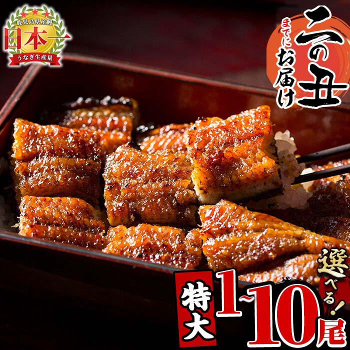 【ふるさと納税】【尾数が選べる！】鹿児島県産 うなぎの大楠＜特大＞1尾〜10尾！うなぎ 鰻 ウナギ 1尾 3尾 6尾 10尾 国産 九州産 蒲焼き かばやき 冷凍 うな重 ひつまぶし タレ 山椒 真空パック ランキング 人気 【7/21までの入金で 二の丑 (7/31)までにお届け】【大楠鰻】のサムネイル