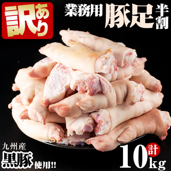 ֡ڤդ뤵Ǽǡۡꡦ̳ѡۡڿ̸۴ŤߤΤ餬̣!彣­ Ⱦ 10kg!  ­ Ȥ󤽤 辰 櫓 ̳  ܥ Ⱦ ѹ  Ĥޤ 10kg  ڥԥ奢աߡa0-238פ򸫤