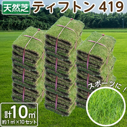 <先行予約受付中!2021年11月中に発送予定>天然芝<ティフトン419> 10平米 サッカー場や野球場・公園などに使われる芝生!葉が柔らかく回復力に優れているスポーツ芝!お庭のグランドカバーにも♪パレット便でお届けします! 【坂下芝園】c0-052
