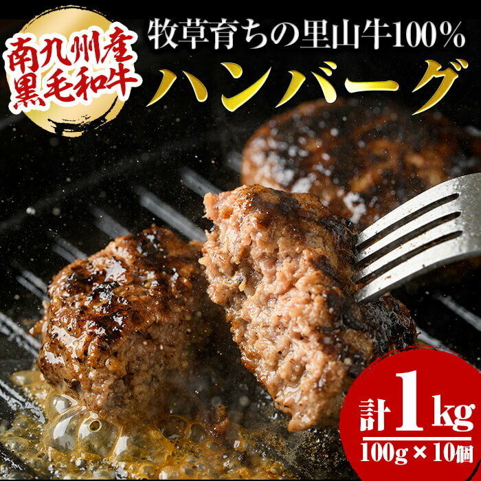 【ふるさと納税】牧草育ちの里山牛100 使用！手作りハンバーグ 1kg (100g×10個）南九州産黒毛和牛のお母さん牛を放牧した里山牛を贅沢に使用！ぎっしりとつまった里山牛の旨みをご堪能ください！焼くだけ簡単！冷凍ハンバーグ【さかうえ】a5-154