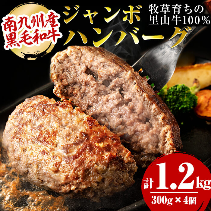 牧草育ちの里山牛100%使用!手作りジャンボハンバーグ 1.2kg (300g×4個)黒毛和牛 南九州産 国産 牧草牛 牛肉 ハンバーグ ジャンボハンバーグ 冷凍ハンバーグ 時短 真空パック 小分け バーベキュー[さかうえ]a5-230