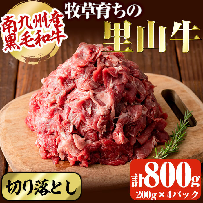 南九州産牧草育ちの里山牛 切り落とし計800g(200g×4パック)南九州産黒毛和牛のお母さん牛を放牧!黒毛和牛の適度な脂と赤身の旨み・風味が詰まった牛肉!炒め物や煮物・牛丼・カレーなど♪ 牧草牛[さかうえ]a9-011