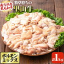 南九州産牧草育ちの里山牛 ホルモンミックス計1kg(200g×5パック)南九州産黒毛和牛のお母さん牛を放牧！旨味ぎっしりミックス牛ホルモン！小腸・大腸・アカセンをミックス♪バーベキューや焼肉、もつ鍋に！牧草牛a9-012