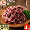 【ふるさと納税】国産黒毛和牛 牧草育ちの里山牛 煮込み専用スネ・ネック計1kg(500g×2パック) 黒毛和牛 和牛 肉 牛肉 国産 スネ ネック 煮込み ブロック 赤身【さかうえ】a9-021