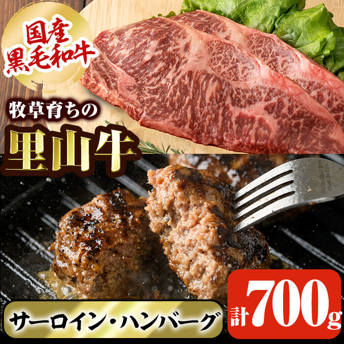 国産黒毛和牛 牧草育ちの里山牛 サーロインステーキ&手作りハンバーグセット 計700g! 黒毛和牛 和牛 肉 牛肉 国産 ハンバーグ サーロイン ステーキ ハンバーグ[さかうえ]b1-016