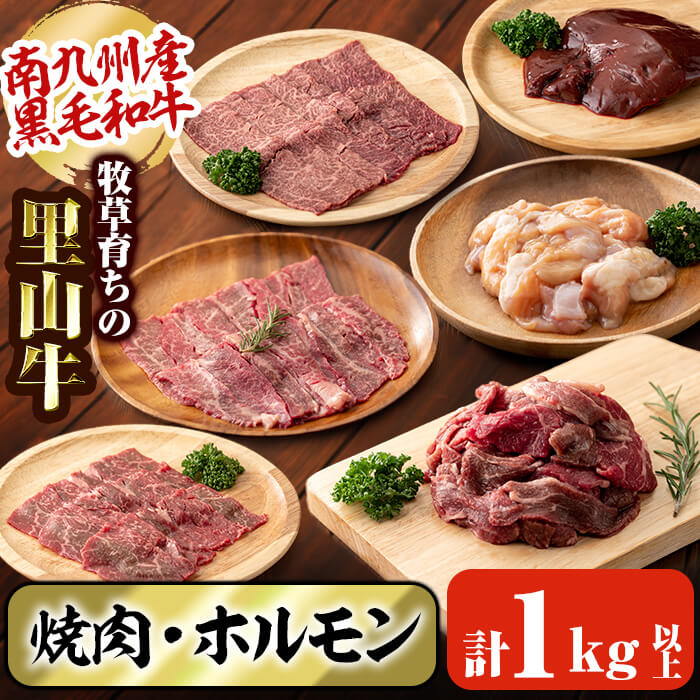 【ふるさと納税】牧草育ちの里山牛 焼肉・ホルモンセット 計1kg以上!南九州産黒毛和牛のお母さん牛を放牧した里山牛のロース、カルビ、赤身、切り落とし、レバー、マルチョウ、シマチョウ、アカセンなど様々な部位を焼肉でお楽しみください【さかうえ】b8-016