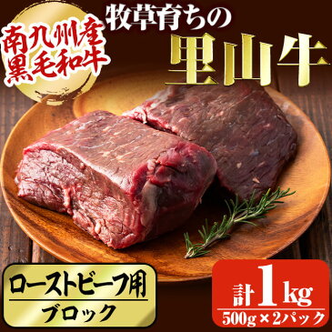 【ふるさと納税】南九州産牧草育ちの里山牛 ローストビーフ用ブロック肉計1kg(500g×2パック)南九州産黒毛和牛のお母さん牛を放牧！赤身の旨みがぎっしり詰まったモモ部位の塊肉！黒毛和牛なのにあっさり！ 牧草牛【さかうえ】c0-038